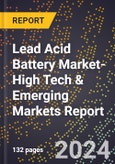 2024 Global Forecast for Lead Acid Battery Market (2025-2030 Outlook)-High Tech & Emerging Markets Report- Product Image