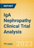 IgA Nephropathy Clinical Trial Analysis by Trial Phase, Trial Status, Trial Counts, End Points, Status, Sponsor Type and Top Countries, 2023 Update- Product Image
