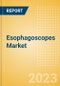 Esophagoscopes Market Size by Segments, Share, Regulatory, Reimbursement, Procedures, Installed Base and Forecast to 2033 - Product Image