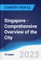 Singapore - Comprehensive Overview of the City, PEST Analysis and Key Industries Including Technology, Tourism and Hospitality, Construction and Retail - Product Thumbnail Image