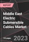 Middle East Electric Submersible Cables Market Report - Market Analysis, Size, Share, Growth, Outlook - Industry Trends and Forecast to 2028 - Product Thumbnail Image