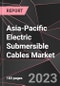 Asia-Pacific Electric Submersible Cables Market Report - Market Analysis, Size, Share, Growth, Outlook - Industry Trends and Forecast to 2028 - Product Thumbnail Image