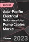 Asia-Pacific Electrical Submersible Pump Cables Market Report - Market Analysis, Size, Share, Growth, Outlook - Industry Trends and Forecast to 2028 - Product Thumbnail Image