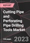 Cutting Pipe and Perforating Pipe Drilling Tools Market Report - Market Analysis, Size, Share, Growth, Outlook - Industry Trends and Forecast to 2028 - Product Thumbnail Image