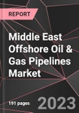 Middle East Offshore Oil & Gas Pipelines Market Report - Market Analysis, Size, Share, Growth, Outlook - Industry Trends and Forecast to 2028- Product Image
