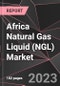 Africa Natural Gas Liquid (NGL) Market Report - Market Analysis, Size, Share, Growth, Outlook - Industry Trends and Forecast to 2028 - Product Thumbnail Image