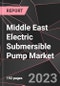 Middle East Electric Submersible Pump Market Report - Market Analysis, Size, Share, Growth, Outlook - Industry Trends and Forecast to 2028 - Product Thumbnail Image