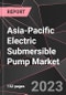 Asia-Pacific Electric Submersible Pump Market Report - Market Analysis, Size, Share, Growth, Outlook - Industry Trends and Forecast to 2028 - Product Thumbnail Image