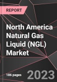 North America Natural Gas Liquid (NGL) Market Report - Market Analysis, Size, Share, Growth, Outlook - Industry Trends and Forecast to 2028- Product Image