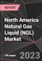 North America Natural Gas Liquid (NGL) Market Report - Market Analysis, Size, Share, Growth, Outlook - Industry Trends and Forecast to 2028 - Product Thumbnail Image
