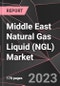 Middle East Natural Gas Liquid (NGL) Market Report - Market Analysis, Size, Share, Growth, Outlook - Industry Trends and Forecast to 2028 - Product Thumbnail Image