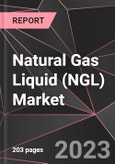 Natural Gas Liquid (NGL) Market Report - Market Analysis, Size, Share, Growth, Outlook - Industry Trends and Forecast to 2028- Product Image
