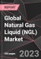 Global Natural Gas Liquid (NGL) Market Report - Market Analysis, Size, Share, Growth, Outlook - Industry Trends and Forecast to 2028 - Product Thumbnail Image