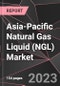 Asia-Pacific Natural Gas Liquid (NGL) Market Report - Market Analysis, Size, Share, Growth, Outlook - Industry Trends and Forecast to 2028 - Product Thumbnail Image