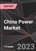 China Power Market- Product Image