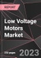 Low Voltage Motors Market Report - Market Analysis, Size, Share, Growth, Outlook - Industry Trends and Forecast to 2028 - Product Thumbnail Image