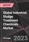 Global Industrial Sludge Treatment Chemicals Market Report - Market Analysis, Size, Share, Growth, Outlook - Industry Trends and Forecast to 2028 - Product Image