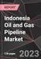 Indonesia Oil and Gas Pipeline Market Report - Market Analysis, Size, Share, Growth, Outlook - Industry Trends and Forecast to 2028 - Product Thumbnail Image