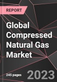 Global Compressed Natural Gas Market Report - Market Analysis, Size, Share, Growth, Outlook - Industry Trends and Forecast to 2028- Product Image