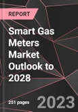 Smart Gas Meters Market Outlook to 2028- Product Image