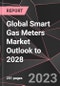 Global Smart Gas Meters Market Outlook to 2028 - Product Image