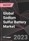 Global Sodium Sulfur Battery Market Report - Market Analysis, Size, Share, Growth, Outlook - Industry Trends and Forecast to 2028 - Product Image