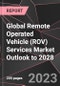Global Remote Operated Vehicle (ROV) Services Market Outlook to 2028 - Product Thumbnail Image