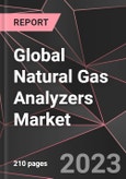 Global Natural Gas Analyzers Market Report - Market Analysis, Size, Share, Growth, Outlook - Industry Trends and Forecast to 2028- Product Image