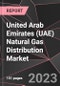 United Arab Emirates (UAE) Natural Gas Distribution Market Report - Market Analysis, Size, Share, Growth, Outlook - Industry Trends and Forecast to 2028 - Product Thumbnail Image