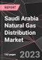 Saudi Arabia Natural Gas Distribution Market Report - Market Analysis, Size, Share, Growth, Outlook - Industry Trends and Forecast to 2028 - Product Thumbnail Image