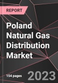 Poland Natural Gas Distribution Market Report - Market Analysis, Size, Share, Growth, Outlook - Industry Trends and Forecast to 2028- Product Image