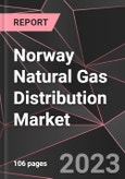 Norway Natural Gas Distribution Market Report - Market Analysis, Size, Share, Growth, Outlook - Industry Trends and Forecast to 2028- Product Image