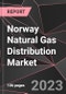 Norway Natural Gas Distribution Market Report - Market Analysis, Size, Share, Growth, Outlook - Industry Trends and Forecast to 2028 - Product Thumbnail Image