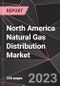 North America Natural Gas Distribution Market Report - Market Analysis, Size, Share, Growth, Outlook - Industry Trends and Forecast to 2028 - Product Thumbnail Image