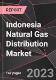 Indonesia Natural Gas Distribution Market Report - Market Analysis, Size, Share, Growth, Outlook - Industry Trends and Forecast to 2028- Product Image