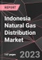 Indonesia Natural Gas Distribution Market Report - Market Analysis, Size, Share, Growth, Outlook - Industry Trends and Forecast to 2028 - Product Thumbnail Image