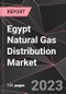 Egypt Natural Gas Distribution Market Report - Market Analysis, Size, Share, Growth, Outlook - Industry Trends and Forecast to 2028 - Product Thumbnail Image