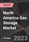 North America Gas Storage Market Report - Market Analysis, Size, Share, Growth, Outlook - Industry Trends and Forecast to 2028 - Product Thumbnail Image