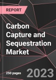 Carbon Capture and Sequestration Market Report - Market Analysis, Size, Share, Growth, Outlook - Industry Trends and Forecast to 2028- Product Image