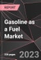 Gasoline as a Fuel Market Report - Market Analysis, Size, Share, Growth, Outlook - Industry Trends and Forecast to 2028 - Product Thumbnail Image