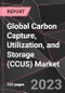 Global Carbon Capture, Utilization, and Storage (CCUS) Market Report - Market Analysis, Size, Share, Growth, Outlook - Industry Trends and Forecast to 2028 - Product Image