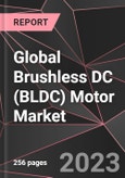 Global Brushless DC (BLDC) Motor Market Report - Market Analysis, Size, Share, Growth, Outlook - Industry Trends and Forecast to 2028- Product Image