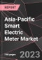 Asia-Pacific Smart Electric Meter Market Report - Market Analysis, Size, Share, Growth, Outlook - Industry Trends and Forecast to 2028 - Product Thumbnail Image