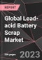 Global Lead-acid Battery Scrap Market Report - Market Analysis, Size, Share, Growth, Outlook - Industry Trends and Forecast to 2028 - Product Thumbnail Image