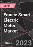 France Smart Electric Meter Market Report - Market Analysis, Size, Share, Growth, Outlook - Industry Trends and Forecast to 2028- Product Image