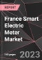 France Smart Electric Meter Market Report - Market Analysis, Size, Share, Growth, Outlook - Industry Trends and Forecast to 2028 - Product Thumbnail Image