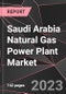 Saudi Arabia Natural Gas Power Plant Market Report - Market Analysis, Size, Share, Growth, Outlook - Industry Trends and Forecast to 2028 - Product Thumbnail Image