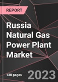 Russia Natural Gas Power Plant Market Report - Market Analysis, Size, Share, Growth, Outlook - Industry Trends and Forecast to 2028- Product Image