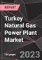 Turkey Natural Gas Power Plant Market Report - Market Analysis, Size, Share, Growth, Outlook - Industry Trends and Forecast to 2028 - Product Thumbnail Image