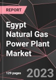 Egypt Natural Gas Power Plant Market Report - Market Analysis, Size, Share, Growth, Outlook - Industry Trends and Forecast to 2028- Product Image